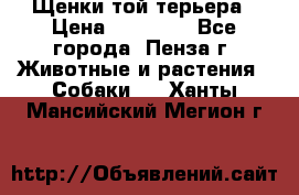 Щенки той терьера › Цена ­ 10 000 - Все города, Пенза г. Животные и растения » Собаки   . Ханты-Мансийский,Мегион г.